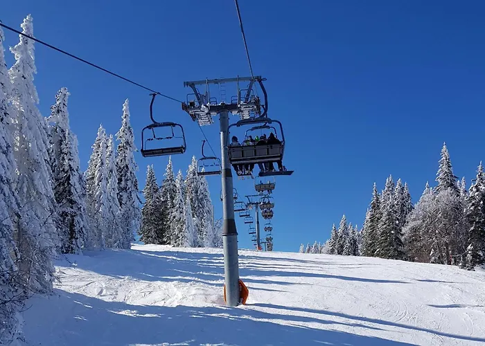 Chalet Podgorje With Pool - Happy Slovenj Gradec